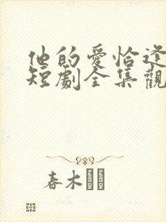 他的爱恰逢其时短剧全集观看