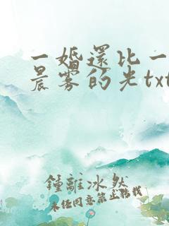 一婚还比一婚高晨雾的光txt
