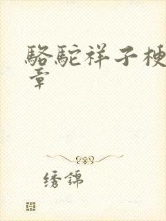 骆驼祥子梗概2章