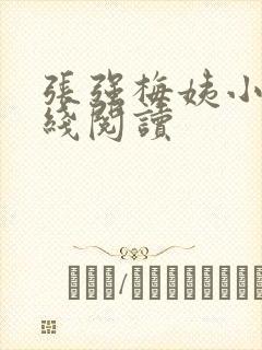 张强梅姨小说在线阅读