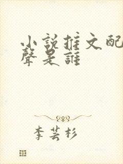 小说推文配音女声是谁