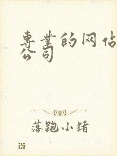 专业的网站建设公司