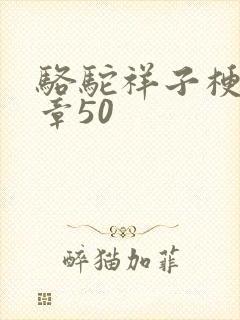 骆驼祥子梗概每章50