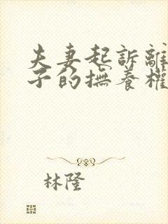 夫妻起诉离婚孩子的抚养权怎么争取