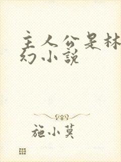 主人公是林天玄幻小说