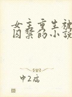 女主重生被男主囚禁的小说