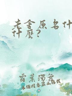 老舍原名什么字什么?