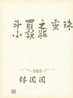 斗罗之灵珠神剑小说版
