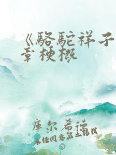 《骆驼祥子》各章梗概