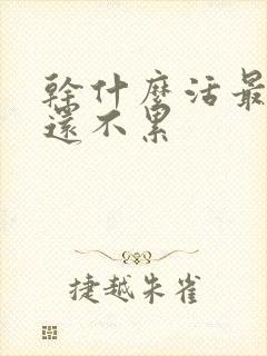 干什么活最挣钱还不累