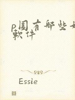 p图有哪些好的软件