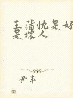 王蒲忱是好人还是坏人