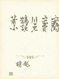 萧鹤川宋安羽的小说免费阅读