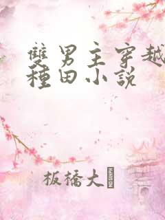 双男主穿越古代种田小说