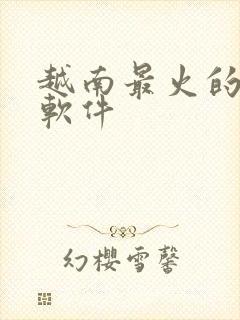 越南最火的社交软件