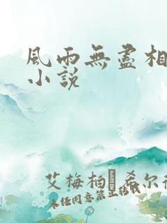 风雨无尽相思情小说