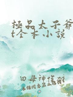 极品太子爷txt全本小说