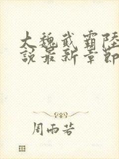 大魏武霸陆泽小说最新章节