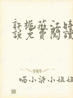 许栀薇江时宴小说免费阅读最新章节