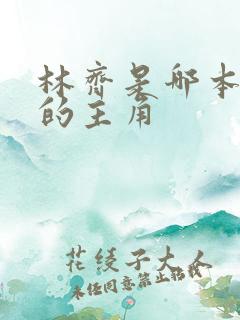 林齐是哪本小说的主角