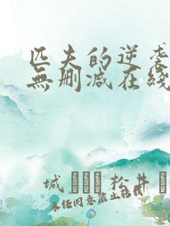 匹夫的逆袭小说无删减在线阅读