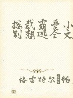 总裁霸爱小娇妻别想逃全文免费阅读