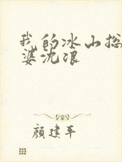 我的冰山总裁老婆沈浪