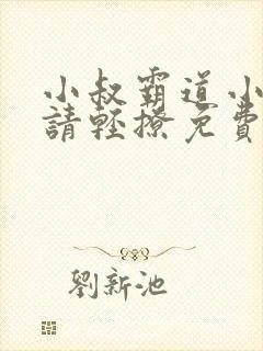 小叔霸道小叔 请轻撩免费漫画