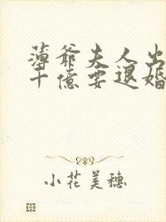 薄爷夫人出价一千亿要退婚txt下载