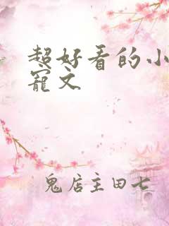 超好看的小说甜宠文