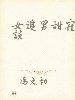 女追男甜宠文小说