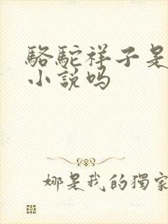 骆驼祥子是京味小说吗