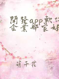 开发app软件企业哪家好