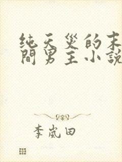 纯天灾的末世空间男主小说