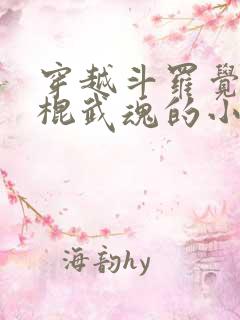 穿越斗罗觉醒铁棍武魂的小说