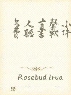 多人有声小说免费听书软件