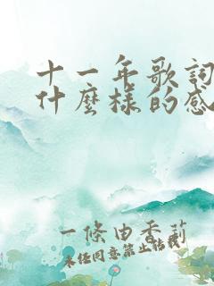十一年歌词表达什么样的感情