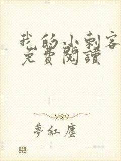 我的小刺客漫画免费阅读