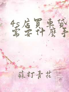 4s店买车贷款需要什么手续和条件