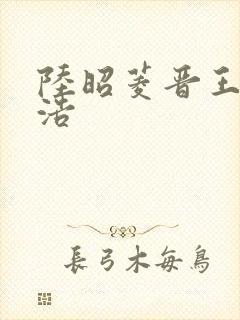 陆昭菱晋王朱明浩