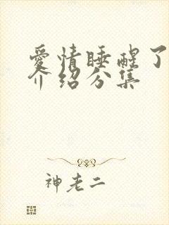 爱情睡醒了剧情介绍分集