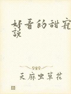 好看的甜宠文小说