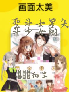 圣斗士星矢 圣斗少女翔