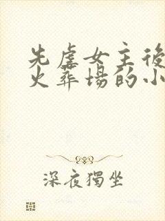 先虐女主后追妻火葬场的小说古言