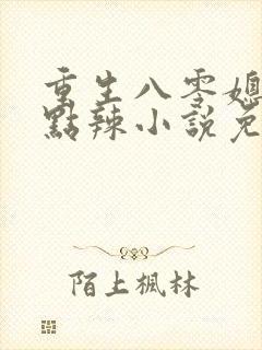 重生八零媳妇有点辣小说免费阅读