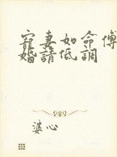 宠妻如命傅少隐婚请低调