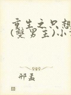 重生之只想宠你(双男主)小说