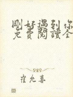 刚好遇到你小说免费阅读全文