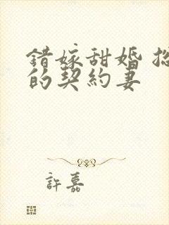 错嫁甜婚 总裁的契约妻