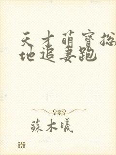 天才萌宝总裁爹地追妻跑